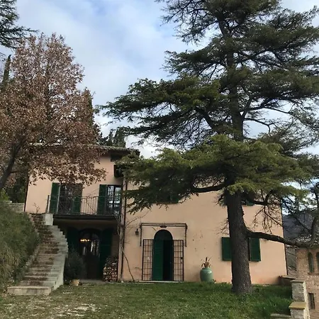Cerqua Palmata Villa *